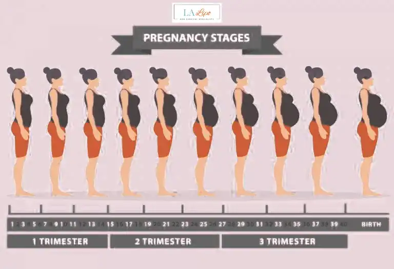 First Trimester (Weeks 1–12): Early Changes You Might Not Notice Merthyr Tydfil
